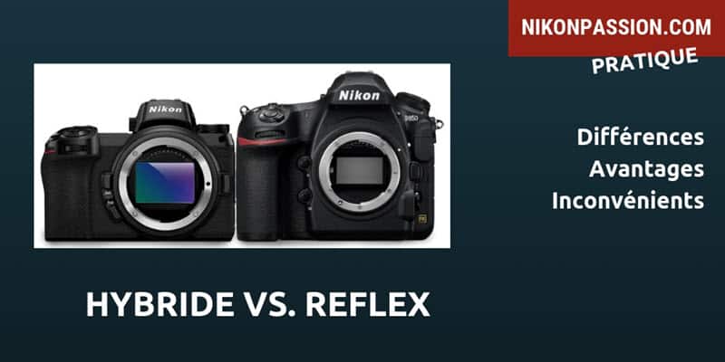 Appareil photo reflex ou smartphone : lequel choisir ?