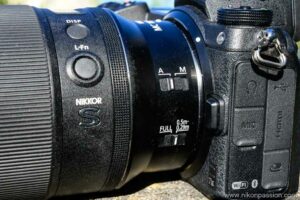 Test NIKKOR Z MC 105 mm f/2,8 VR S : le 105 macro stabilisé pour ...