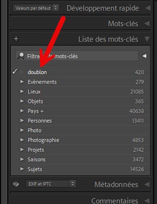 Comment supprimer les doublons dans Lightroom