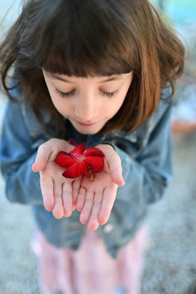 Exemple de photo avec le NIKKOR Z 35 mm f/1.4