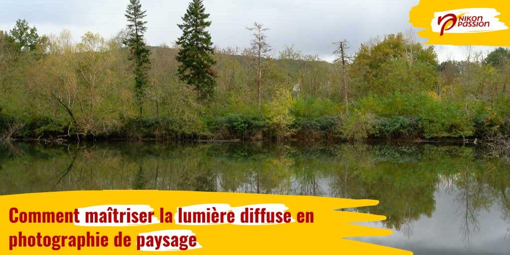 Comment maîtriser la lumière diffuse en photographie de paysage