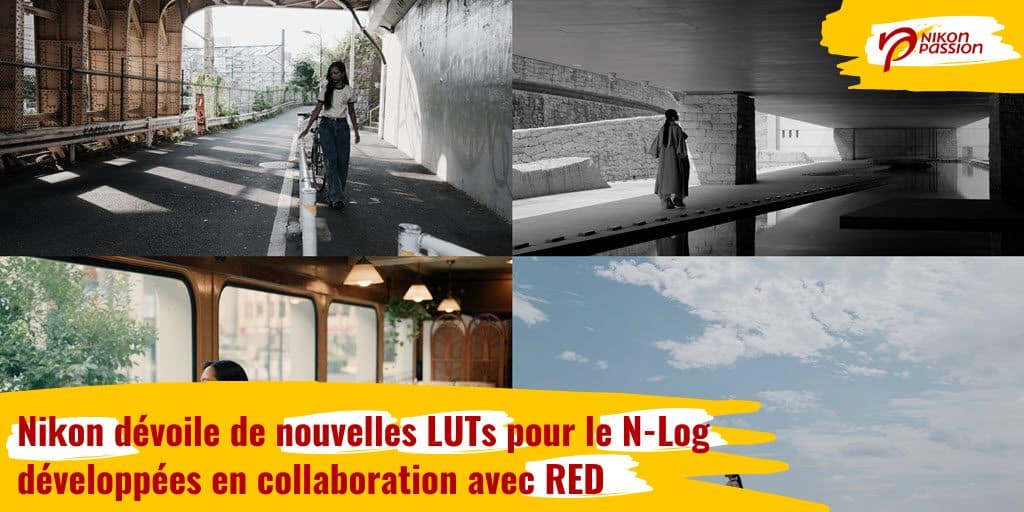 Nikon dévoile de nouvelles LUTs pour le N-Log, développées en collaboration avec RED