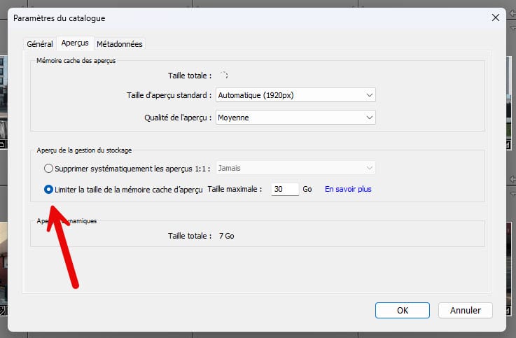 Lightroom Classic : limiter la taille du cache des aperçus