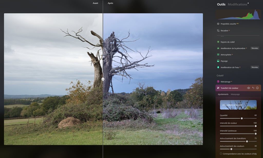 Luminar NEO 1.21 : Color Transfert