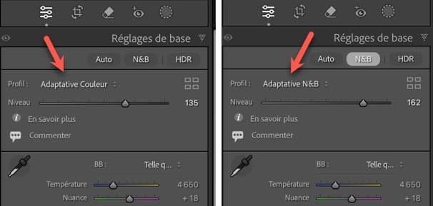 Lightroom 2025 profils adaptatifs