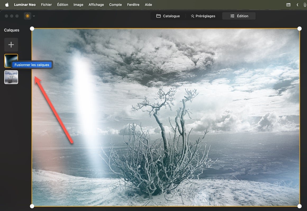 Luminar NEO 1.2.3.1 : fusion simplifiée des calques
